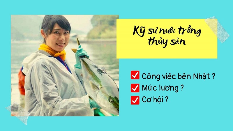 Kỹ sư nuôi trồng thủy sản đi Nhật