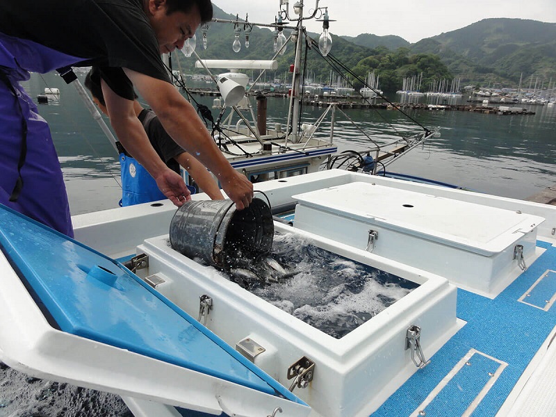 Lợi ích khi chọn kỹ sư nuôi trồng thủy sản đi Nhật