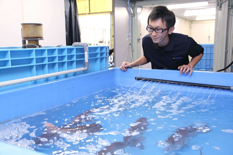 Công việc cần thực hiện