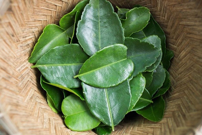 Lá chanh mua ở đâu