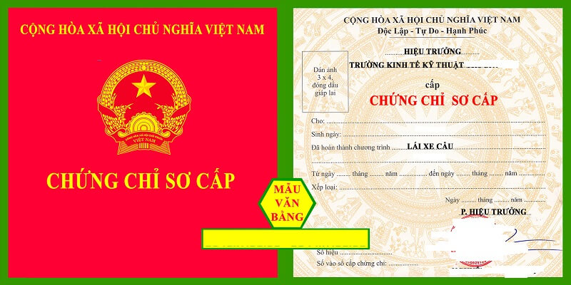 Lái xe cẩu tự hành phải có bằng cấp gì?