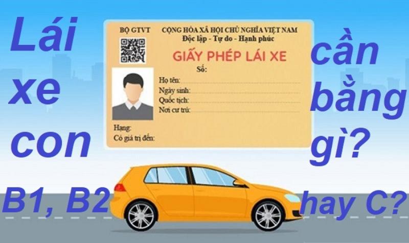 Trả lời câu hỏi lái xe con cần bằng gì