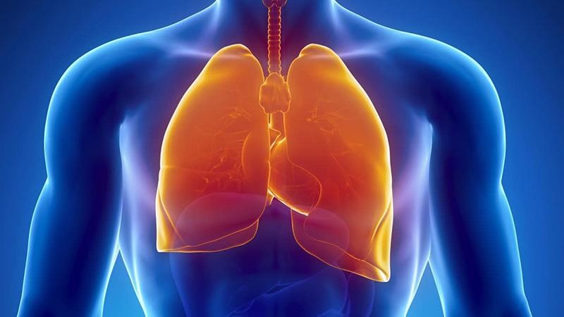 Làm hệ hô hấp dịu đi