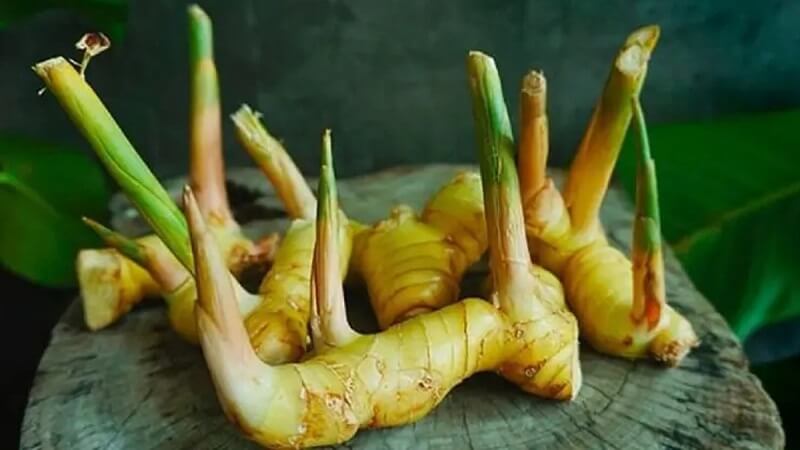 Riềng kết hợp với các dược liệu khác có thể điều chế thuốc xoa bóp