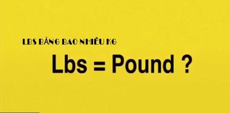 Đơn vị LBS