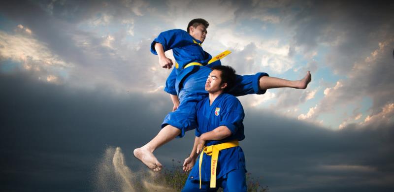 Lịch sử hình thành bộ môn võ thuật Vovinam