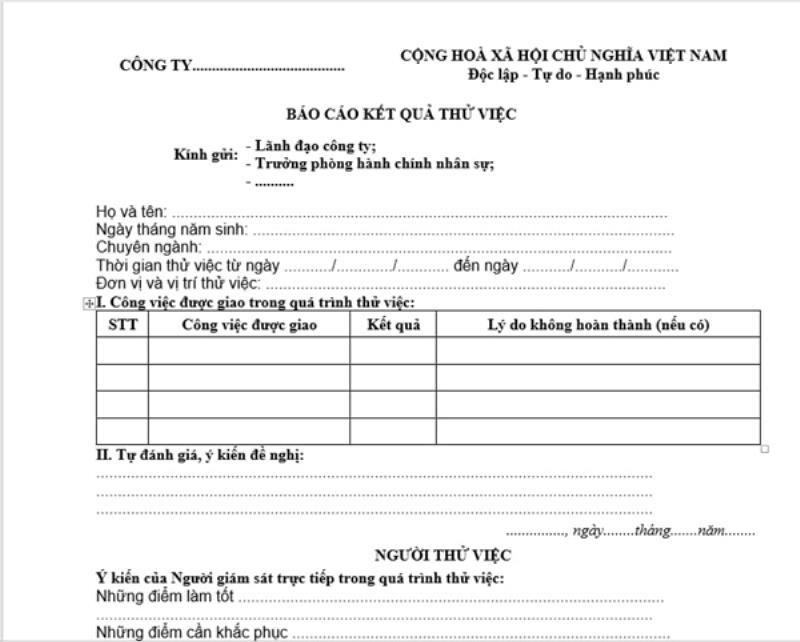 Liệt kê các công việc được giao trong quá trình thử việc