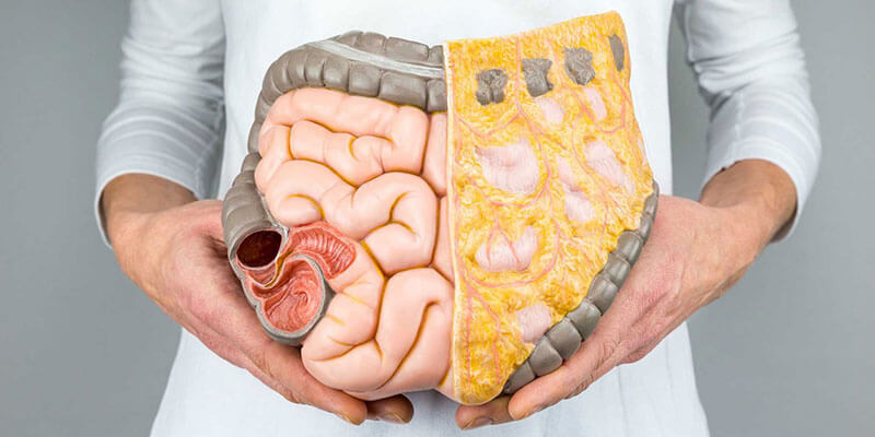 Tắc nghẽn các cơ quan tiêu hoá