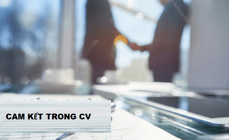 Xác định vị trí viết lời cam kết trong CV
