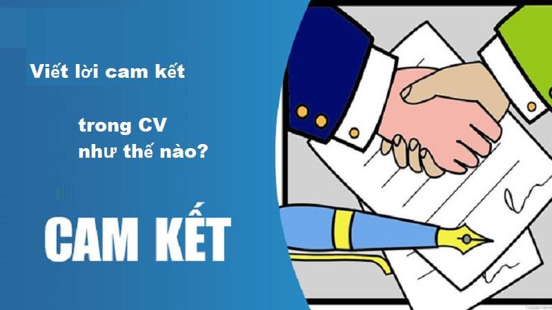 Có hai loại cam kết chính có thể viết trong CV