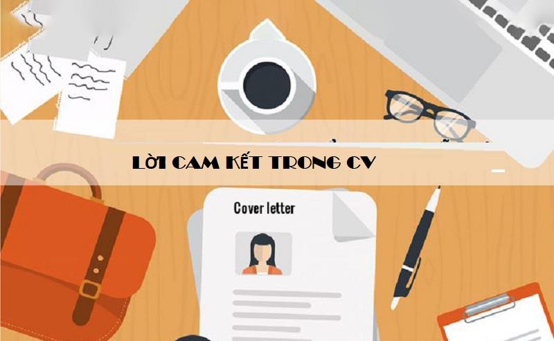 Vai trò của lời cam kết trong CV