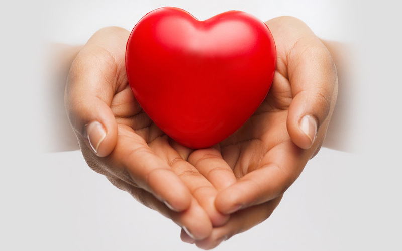 Lợi ích Pine nuts