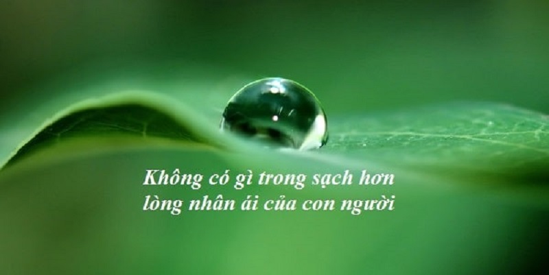 Nếu không có lòng nhân ái thì xã hội sẽ ra sao