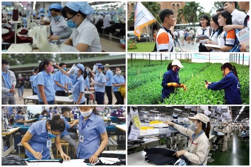 Lực lượng sản xuất và quan hệ sản xuất tại Việt Nam