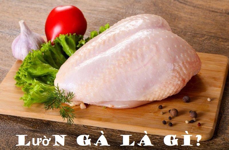 Tìm hiểu lườn gà là gì