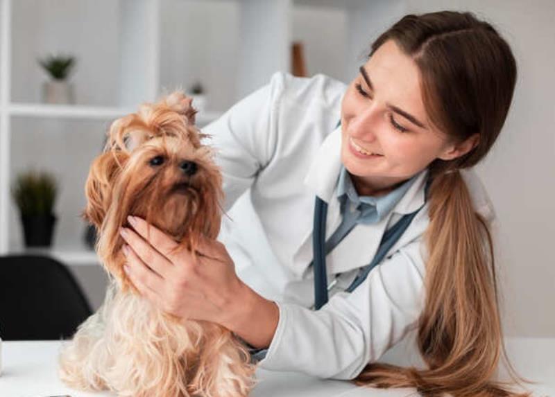 Lương bác sĩ thú y khá hấp dẫn