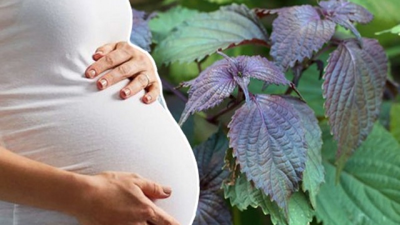 Phụ nữ mang thai khi sử dụng nên cẩn trọng
