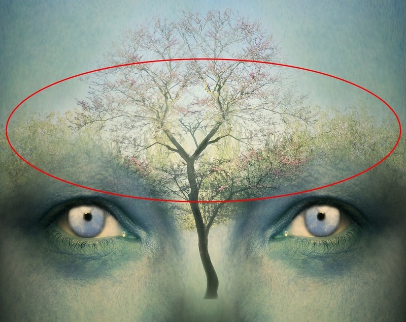 Lý trí với suy nghĩ về nguyên nhân và kết quả