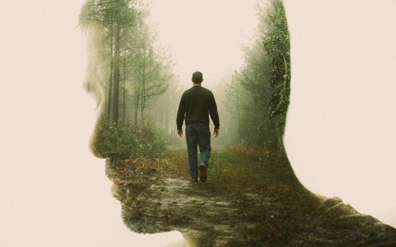 Lý trí và những khái niệm liên quan