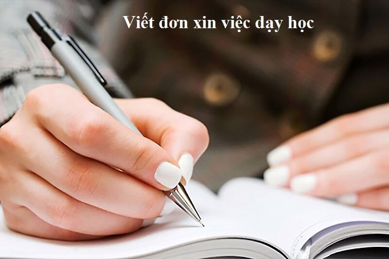 Đơn xin việc dạy học ứng viên cần viết kinh nghiệm gì