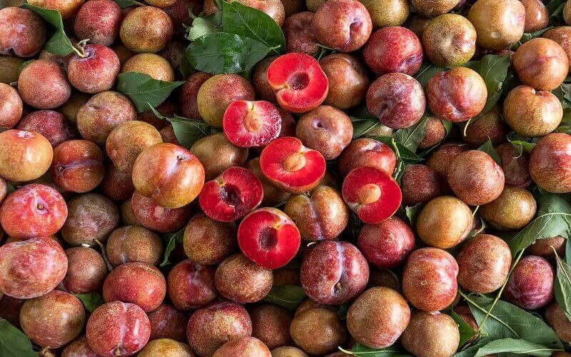 Mận hậu là gì? 