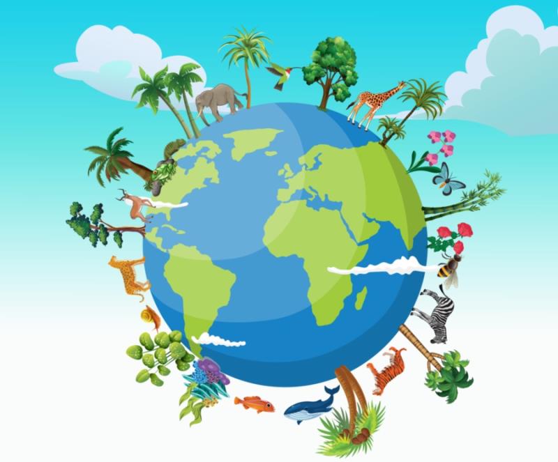 Mất đa dạng sinh học nguyên nhân là do đâu