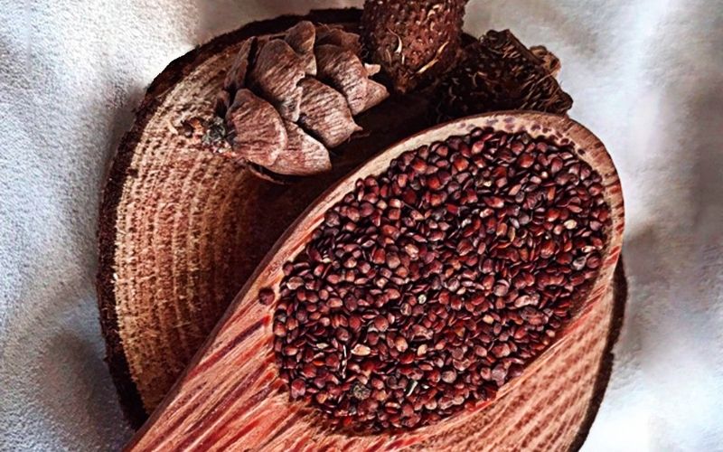 Mặt nạ ngũ hoa là gì