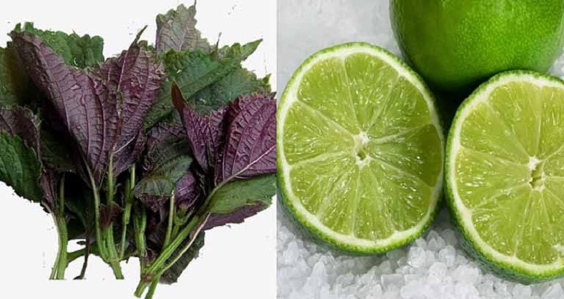 Mặt nạ tía tô kết hợp chanh