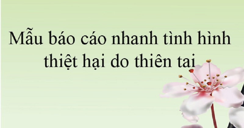 Viết báo cáo thiệt hại tài sản như thế nào