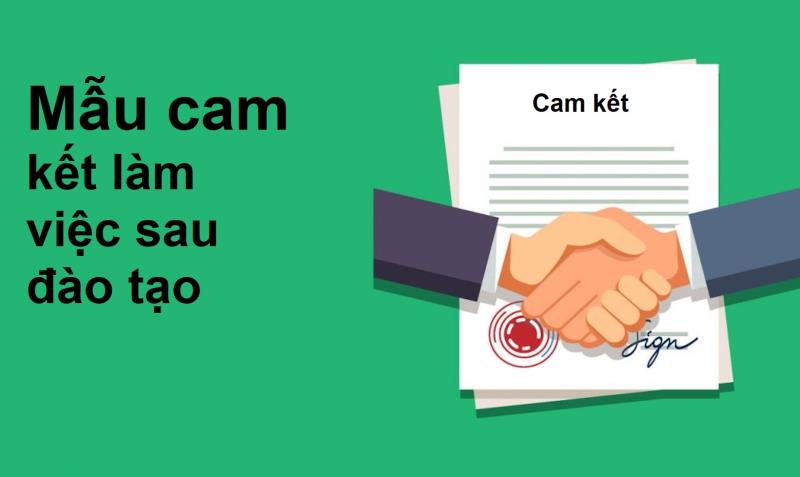 Tìm hiểu chung về mẫu cam kết làm việc sau đào tạo