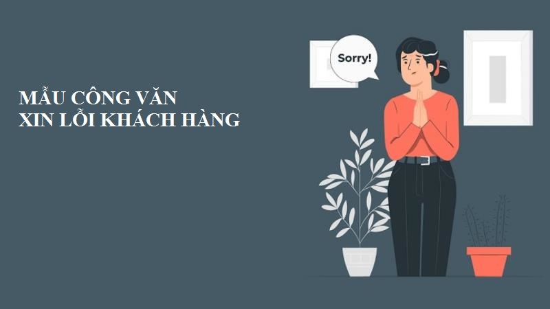 Soạn thảo mẫu công văn xin lỗi khách hàng