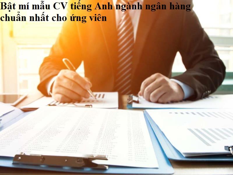 Nội dung CV mẫu ngành ngân hàng Anh