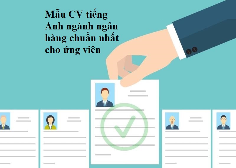 CV ngành ngân hàng tiếng Anh