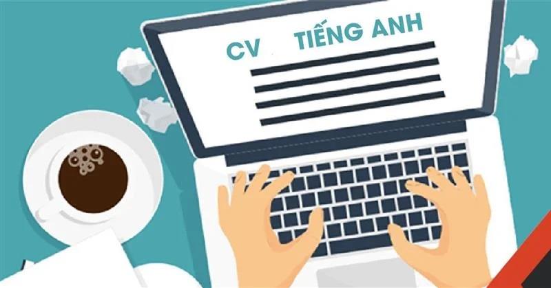 Bố cục của mẫu CV tiếng Anh Teaching Assistant