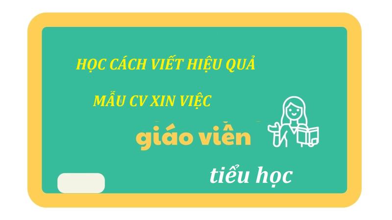 Hướng dẫn chuẩn bị hiệu quả CV xin việc giáo viên dạy tiểu học