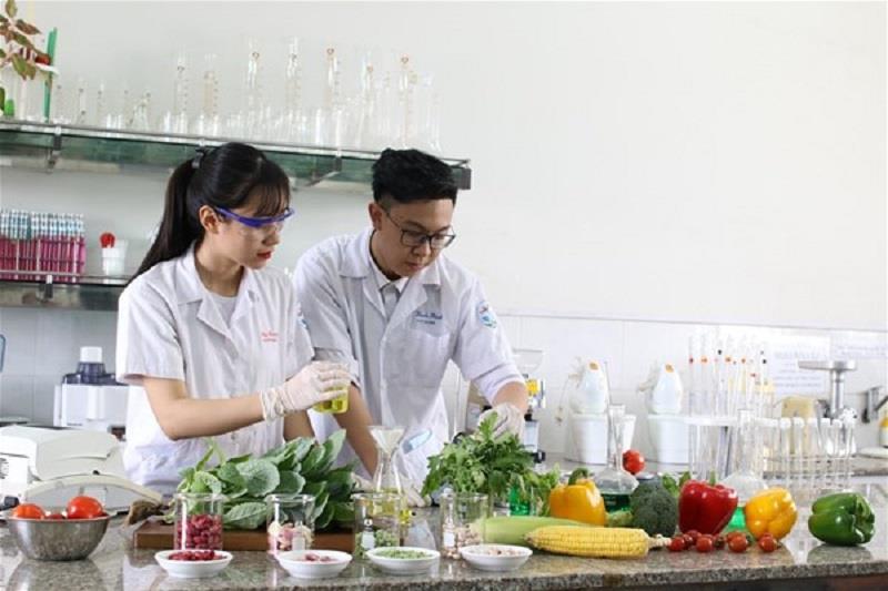 Trình độ học vấn trong môi trường CV