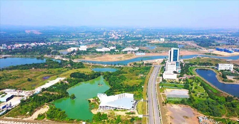 Nội dung của mẫu đơn