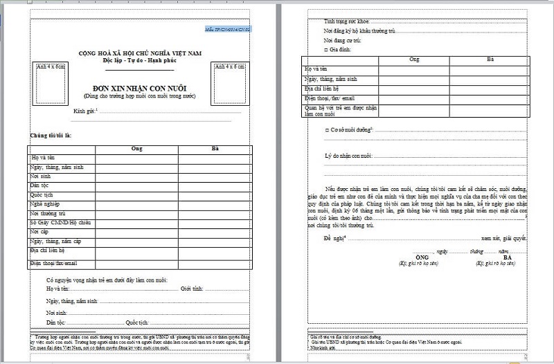 Mẫu đơn nhận con nuôi là gì