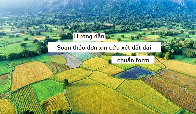 Cách soạn thảo nội dung bên trong của biểu mẫu đơn từ xin cứu xét đất