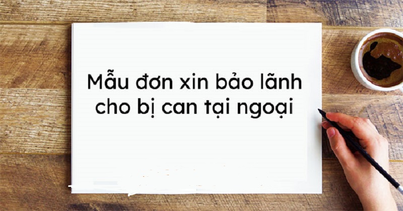 Mẫu đơn xin bảo lãnh tại ngoại là gì