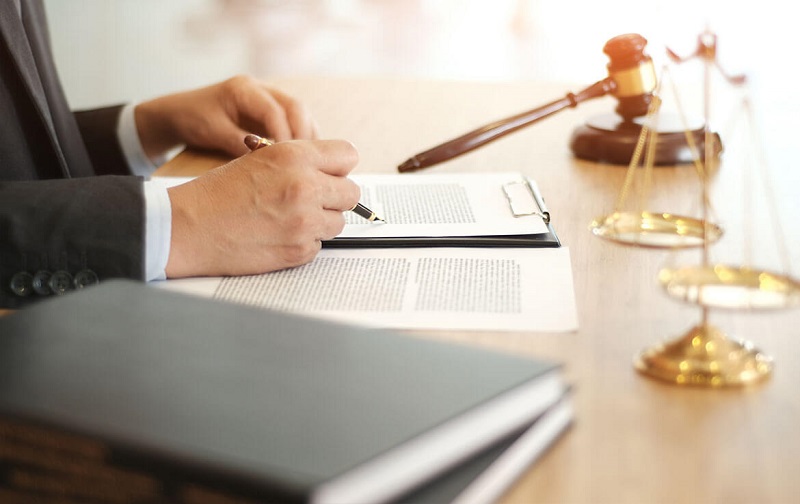 Cách trình bày đơn