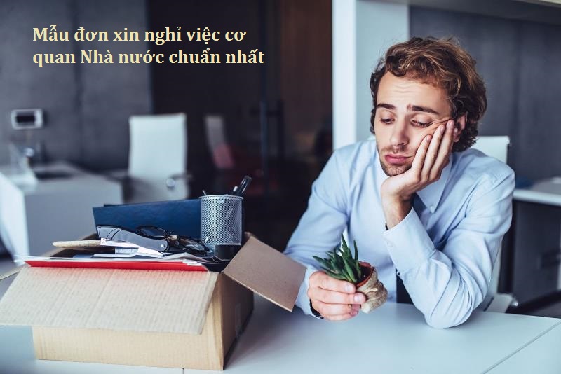 Cách viết mẫu đơn xin nghỉ việc cơ quan Nhà nước