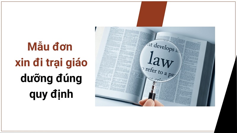 Mẫu đơn xin vào trại giáo dưỡng