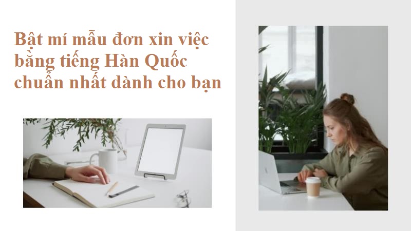 Mẹo viết đơn xin việc bằng tiếng Hàn