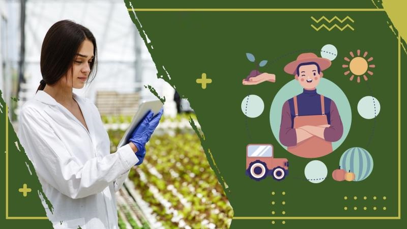 Hình thức đơn xin việc ngành môi trường