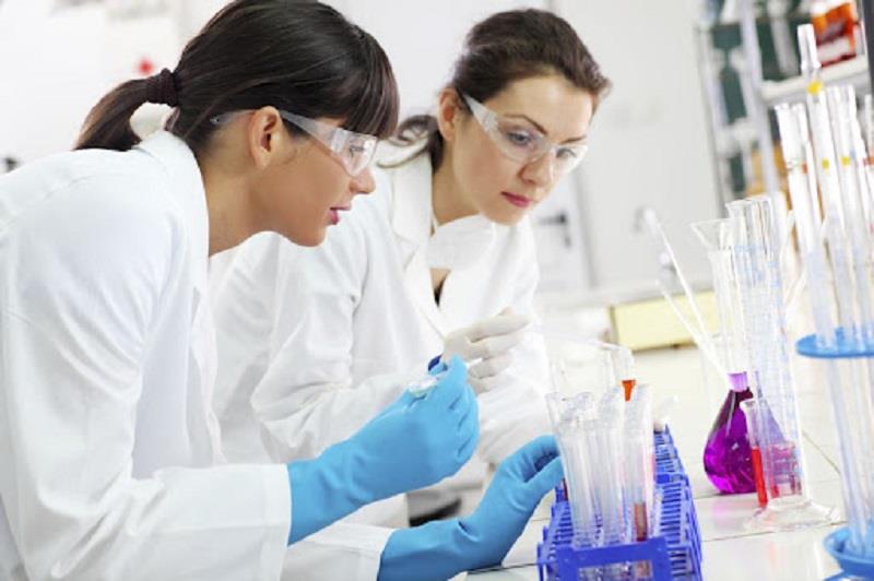 Mẫu đơn xin việc trình dược viên