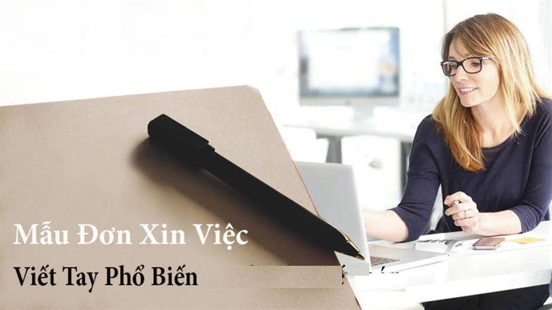 Bố cục cơ bản trong đơn xin việc