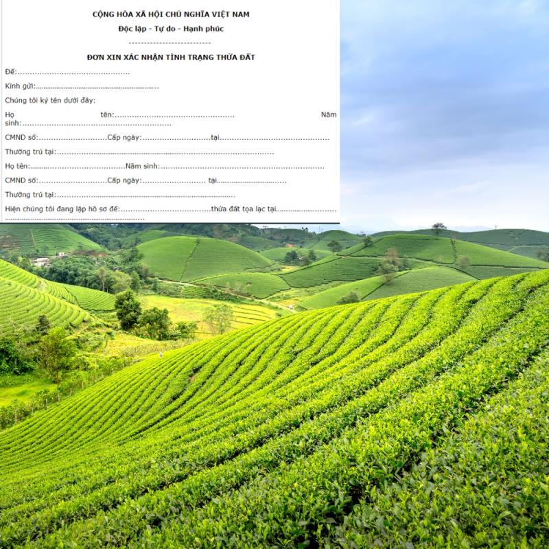 Tìm hiểu đơn xin xác nhận tình trạng sử dụng đất