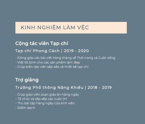 Kinh nghiệm làm việc