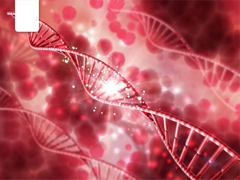 Nhóm máu A được hình thành như thế nào